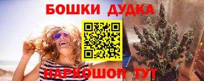 гидропоника Ковров